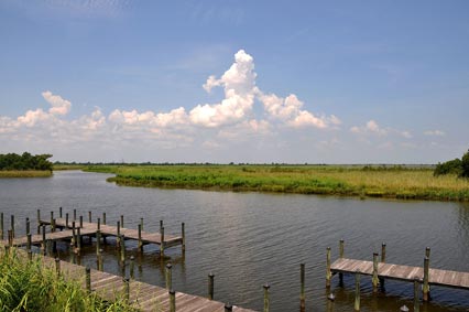 Discover 'America's Amazon,' the Mobile-Tensaw Delta